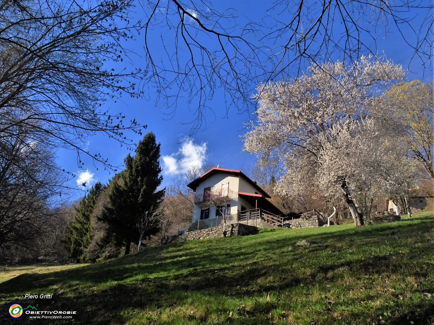 66 Cascina con bellissimo ciliegio  fiorito.JPG